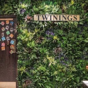 Twinings shop and an artificial living wall