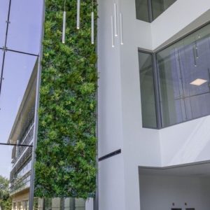 artificial living wall in office reception