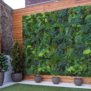 Artificial Grass, Astroturf and Green Walls