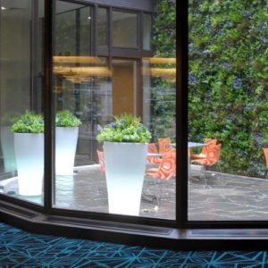 Our top benefits of using artificial plants in your hotel