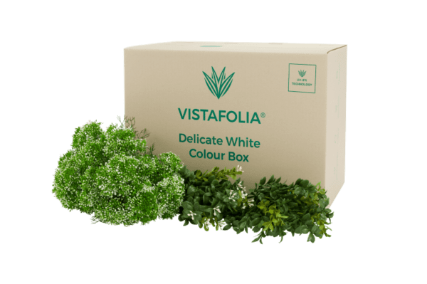 Delicate-White-Colour-Box