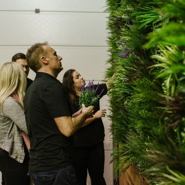 indoor luxury living wall