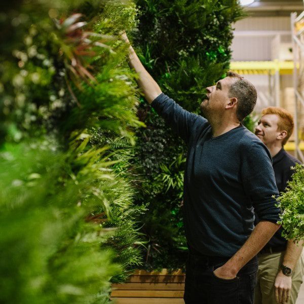 Green Wall display in Showroom