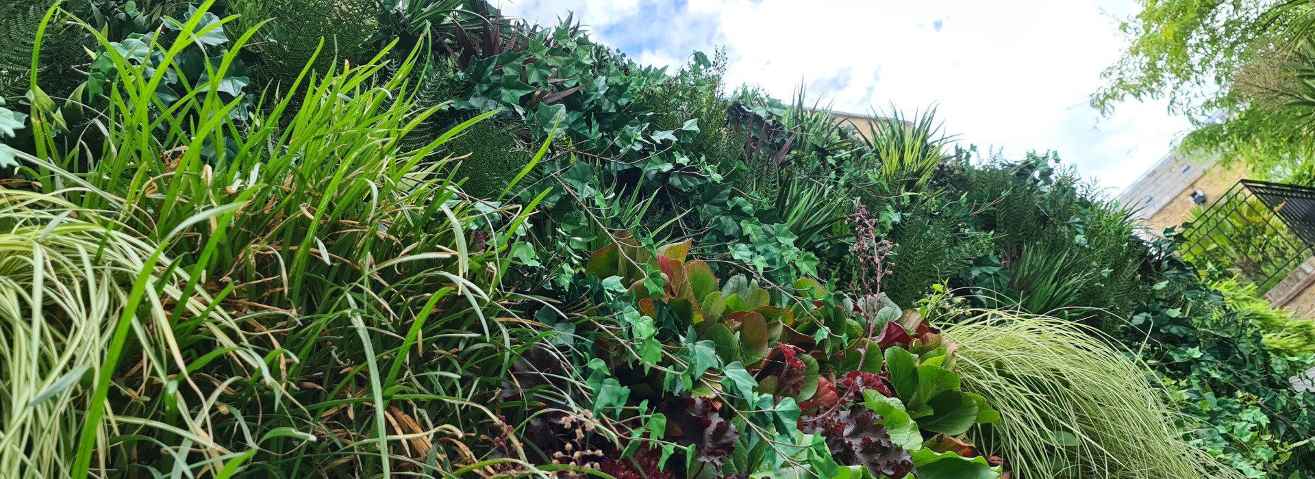 Living Green Wall