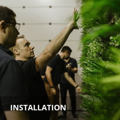 showroom green wall installation