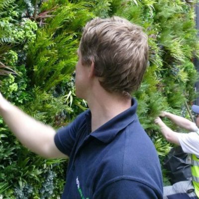 installation of an indoor vertical garden panel