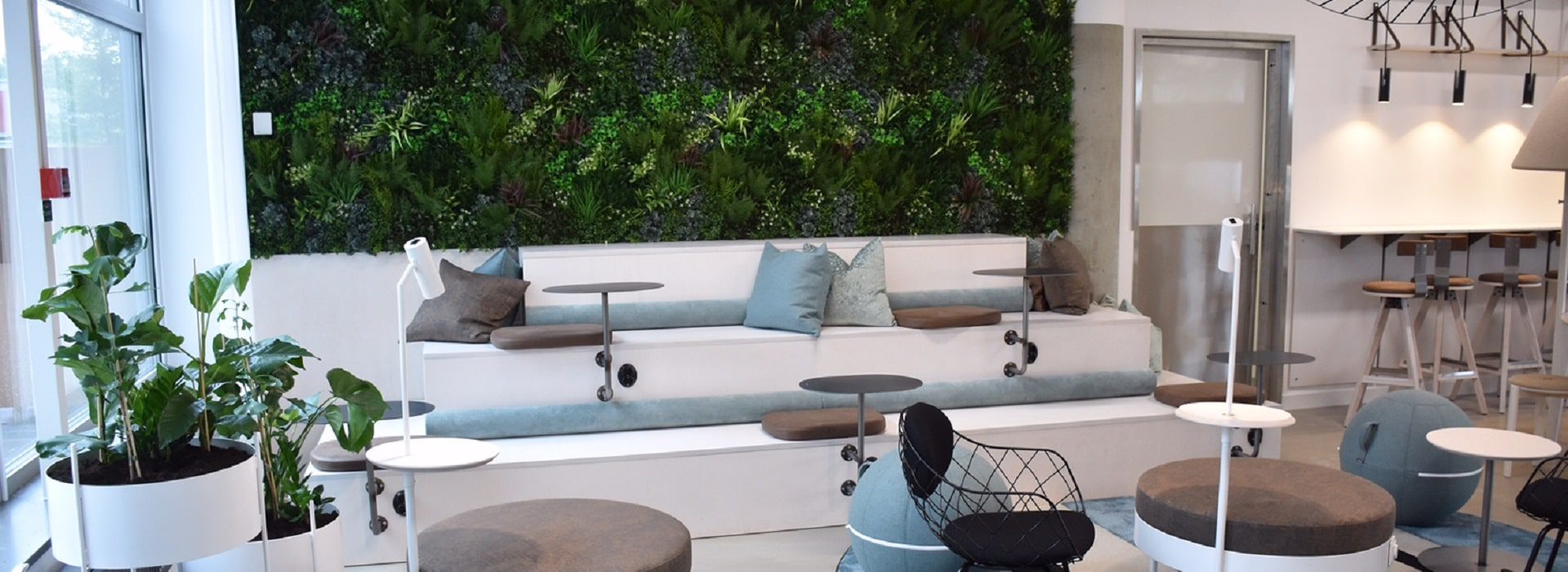 Furniture Store Green Wall