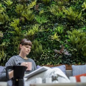 Green vertical garden panels with lady drinking coffee