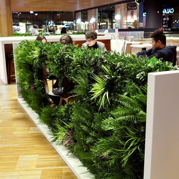 Green Wall Privacy Screening in Milan restaurant