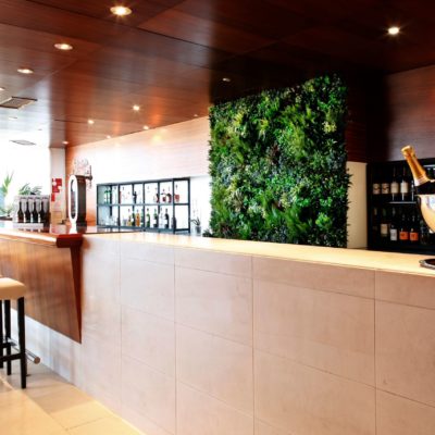 Realistic fake plant wall behind a bar