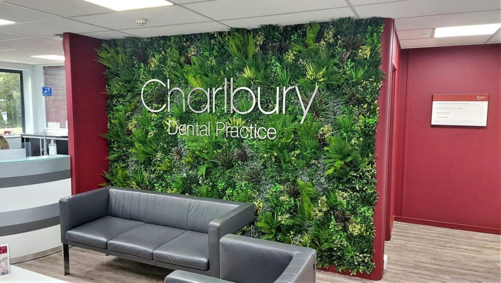 an artificial green wall installation in a dental surgery