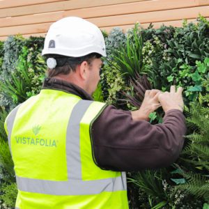 Green Plant Wall Installation