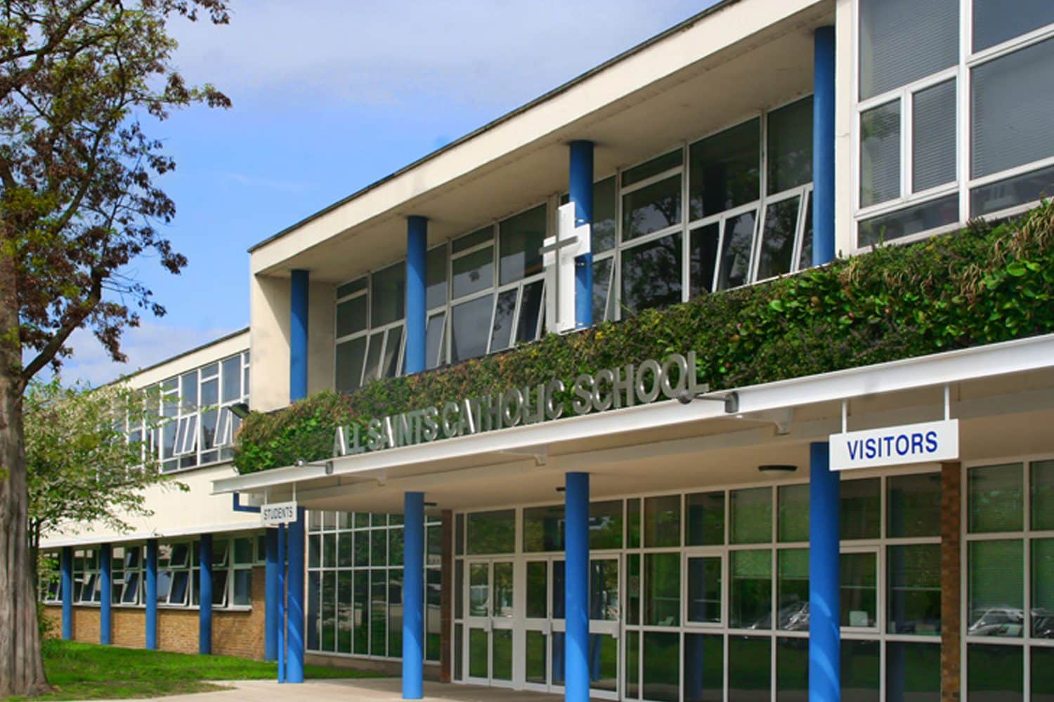 School After Plant Wall