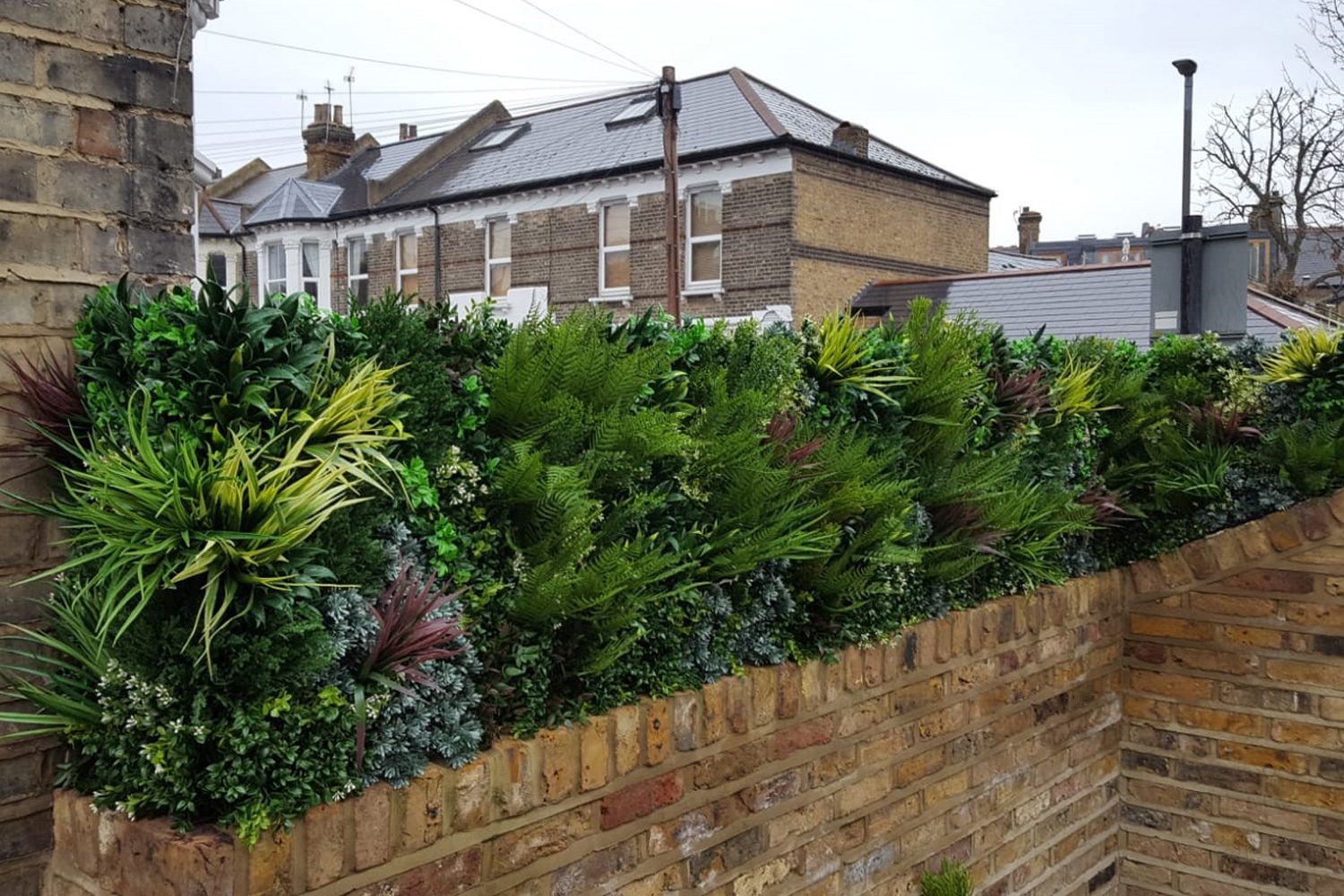 Trellis Covering After Plant Wall Install