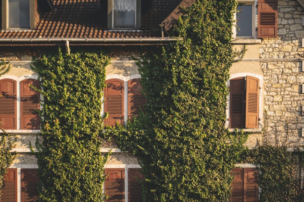 Real plants are difficult to maintain in Salt Lake City.