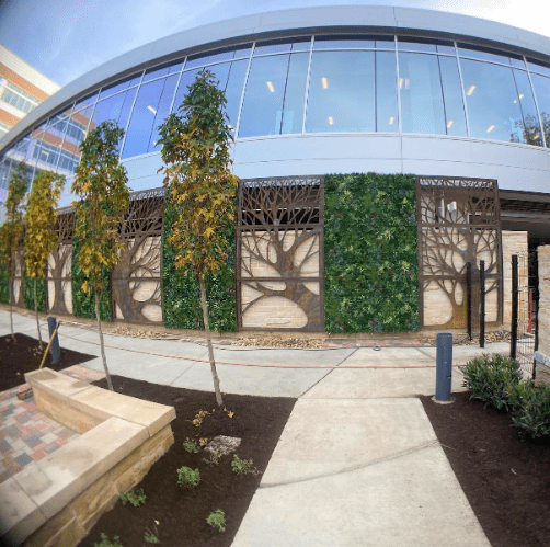 a healthcare facility artificial green wall in Virginia