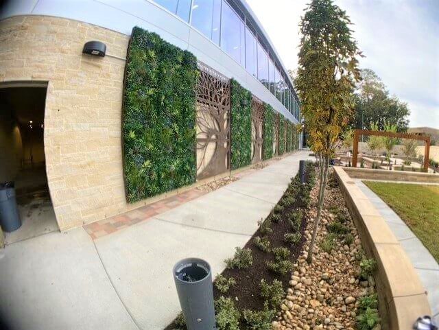 a healthcare facility artificial green wall by Vistafolia Virginia Beach