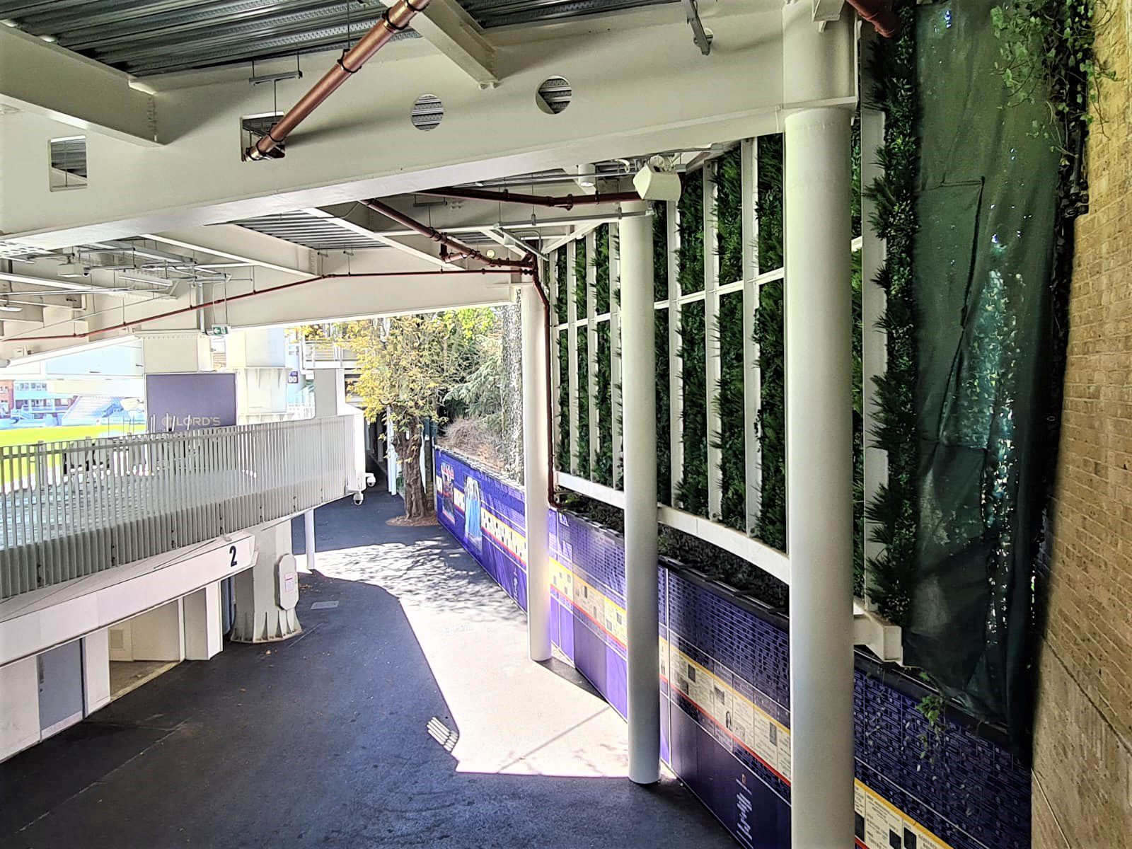 Wide Shot of a Vistafolia Artificial Green Wall at Lords Cricket Ground