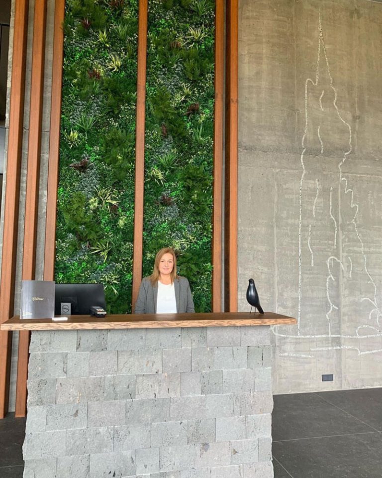 Artificial Living Walls In A Hospitality Setting, Hotel Geysir, Iceland