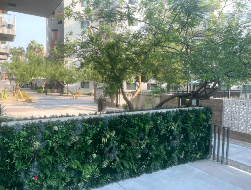 Multi-Family Green Wall in Phoenix, Arizona