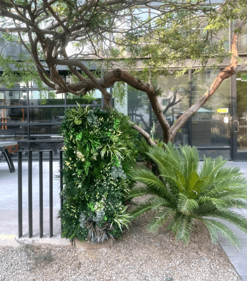 Multi-Family Green Wall in Phoenix, Arizona