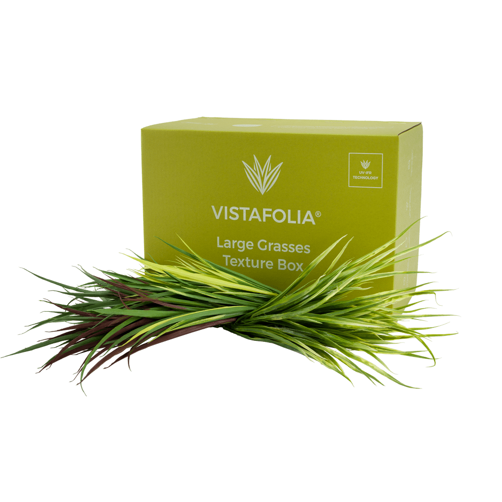 Large-Grasses-Texture-Box_main_final