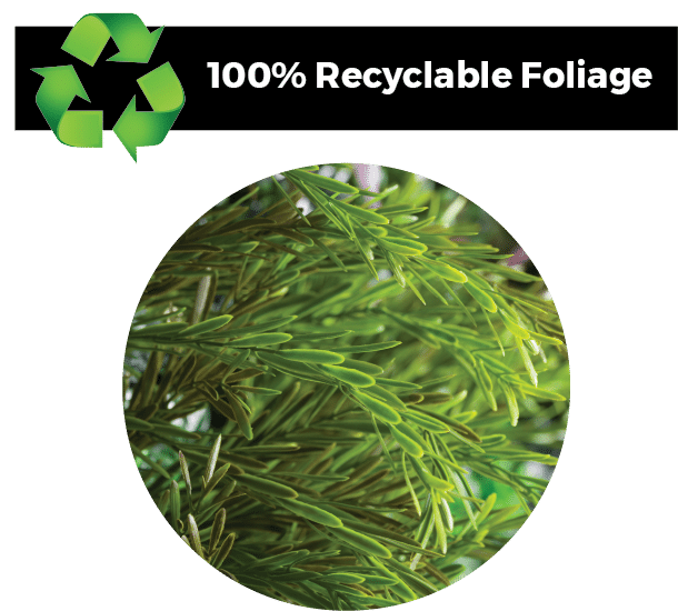 sustainable foliage