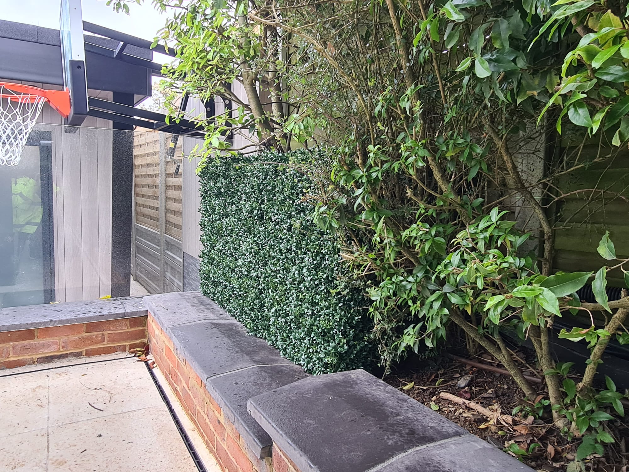 An artificial buxus hedge in a garden