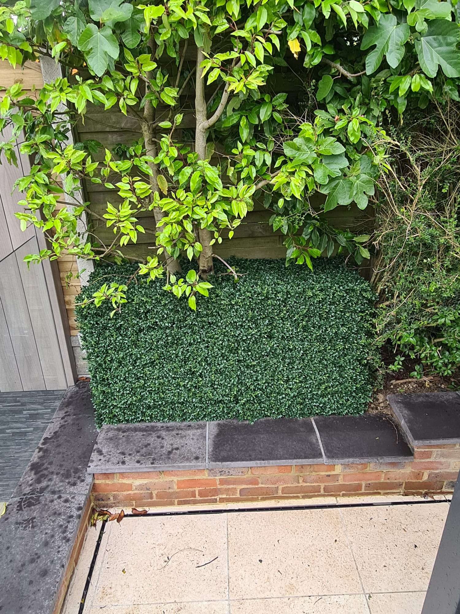 Artificial buxus panels used to create a hedge