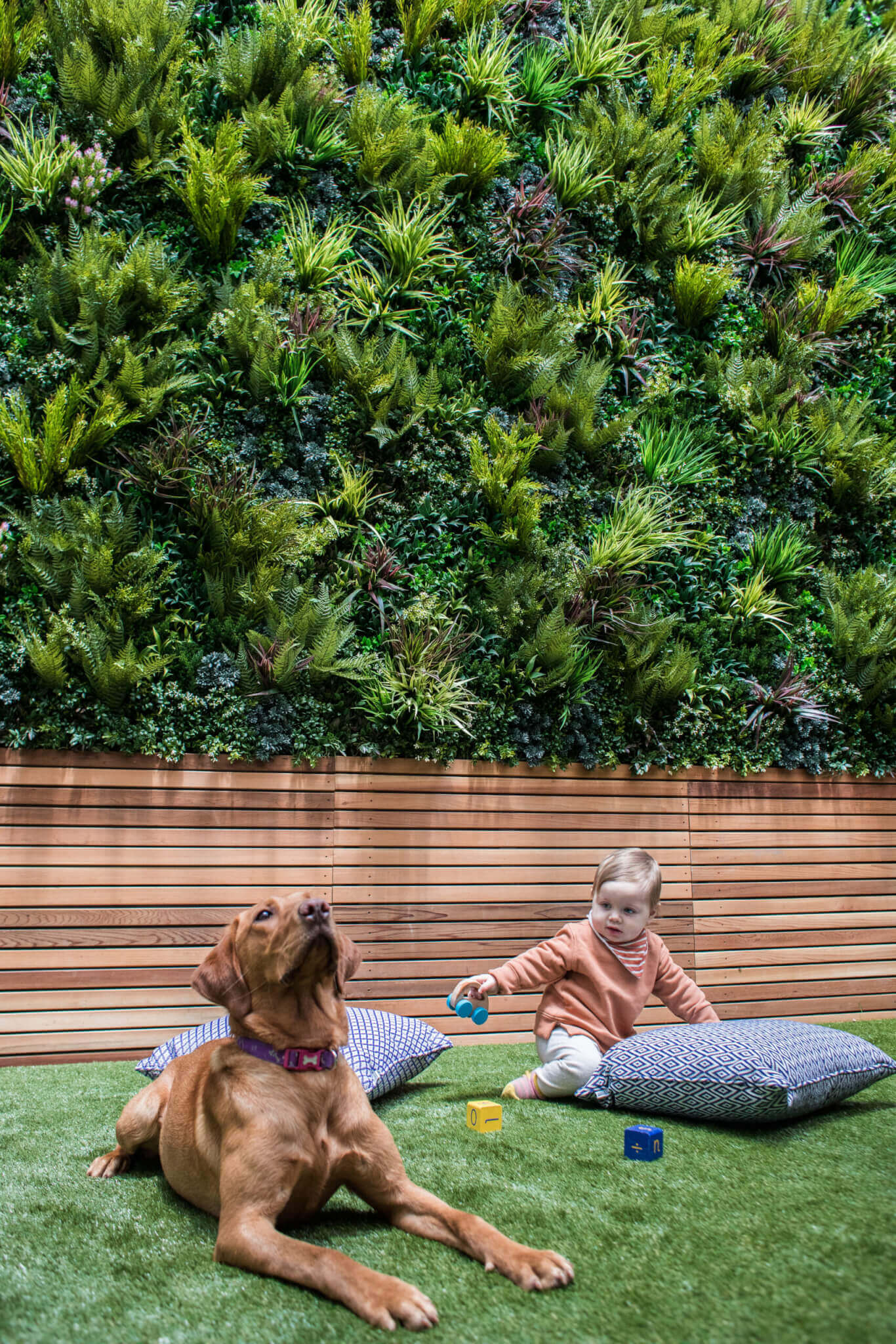 A baby sits on a green carpet next to a large brown dog, surrounded by cushions. The baby is holding colorful blocks. Behind them is a wall covered in lush green plants, creating a natural backdrop.