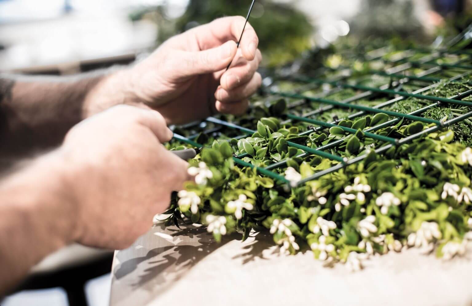 Hands weave small green plants onto a grid-like structure, possibly creating a decorative panel. The focus is on the intricate joining of plants and the hands working delicately, embodying one of the points of difference that demonstrate why you can trust Vistafolia Products.