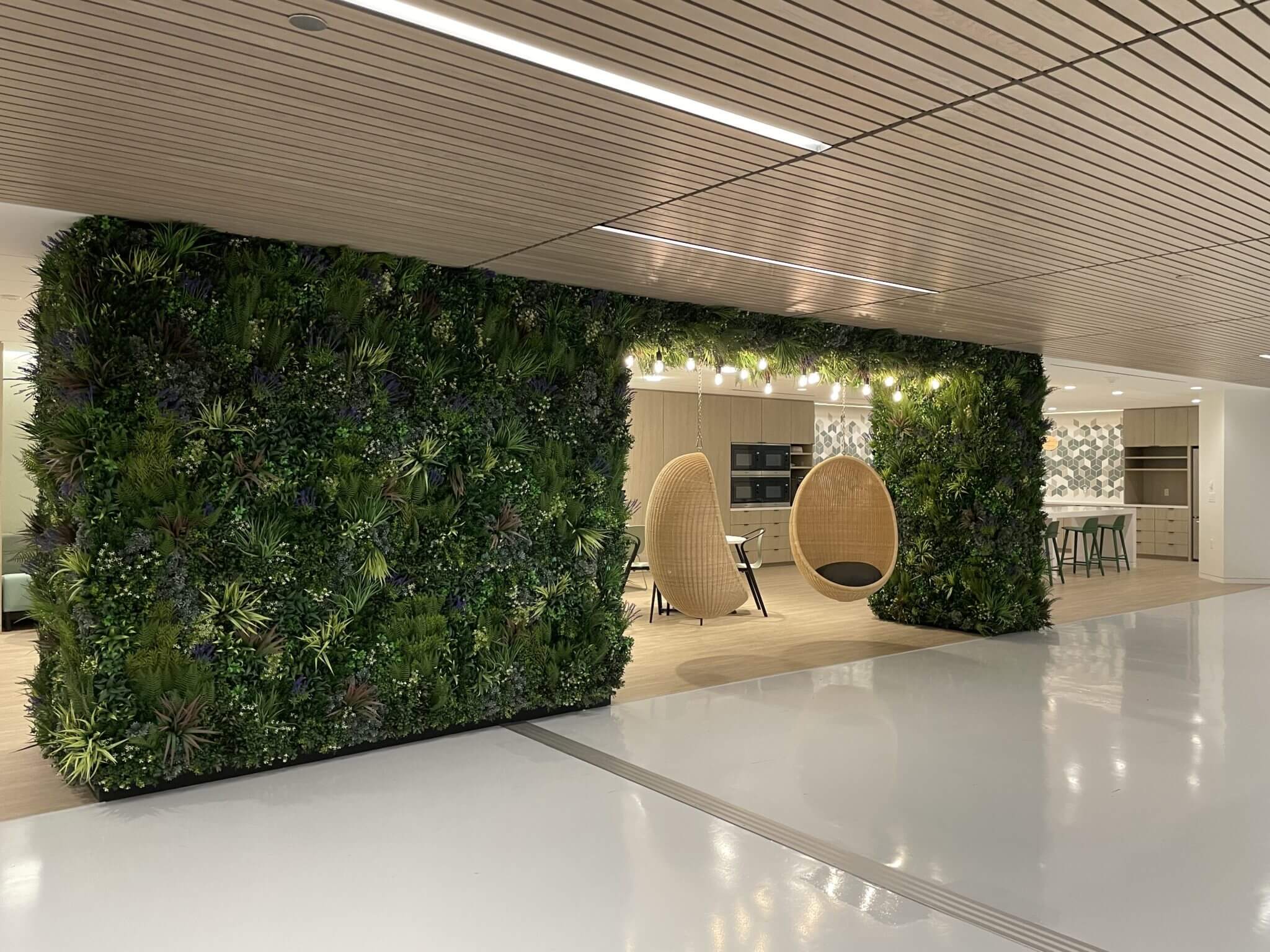 A modern indoor space at Georgetown University in Washington DC features a faux green wall with lush plants. Two hanging wicker chairs sit in front of a wooden partition, and the room showcases a minimalist design with light wood flooring and a white ceiling.