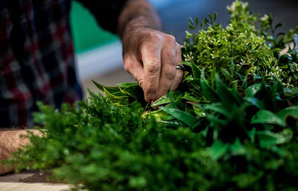 A person arranging a variety of green leafy plants on a table. The hands are adjusting the leaves, which include different textures and shades of green. The background is blurred, focusing on the greenery and the hands.