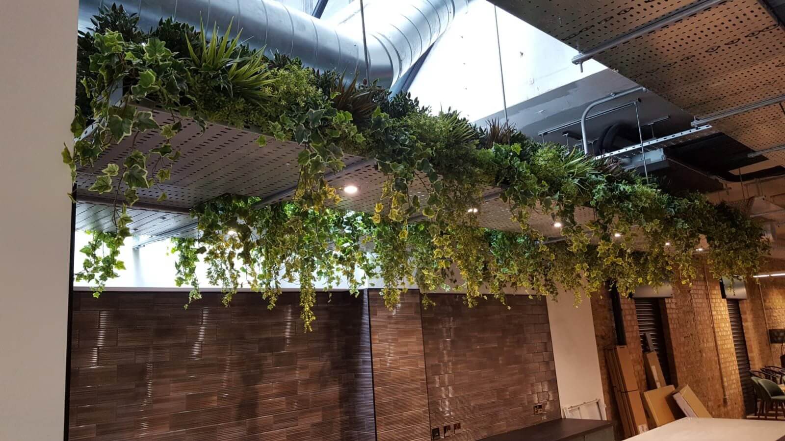 Ceiling with hanging greenery and plants above a modern, industrial-style space featuring exposed ducts and wood paneling. Pendant lights illuminate the lush foliage.