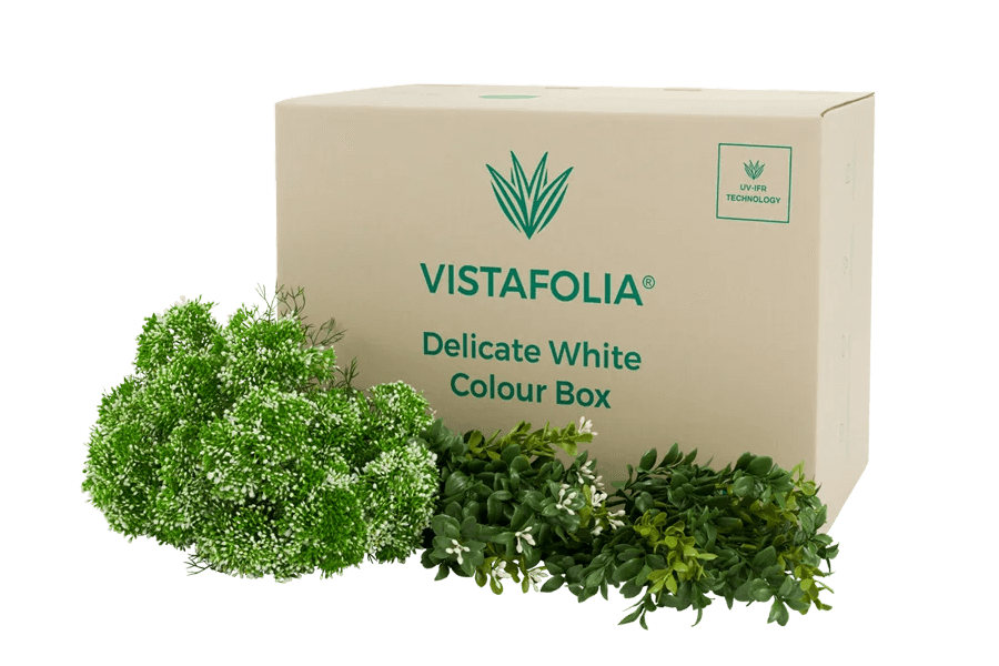 Delicate White Colour Box Product Image