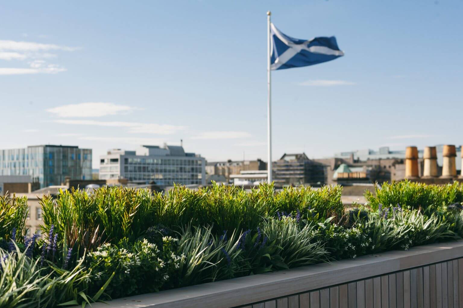 Against the backdrop of city buildings under a clear blue sky, the rooftop scene comes alive with a row of vibrant plants and a Scottish flag waving gracefully in the breeze. This picturesque view offers an experience that goes beyond the price tag.