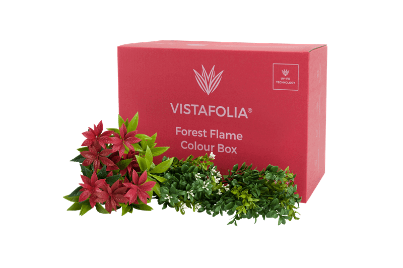 Forest Flame Colour Box Product Image