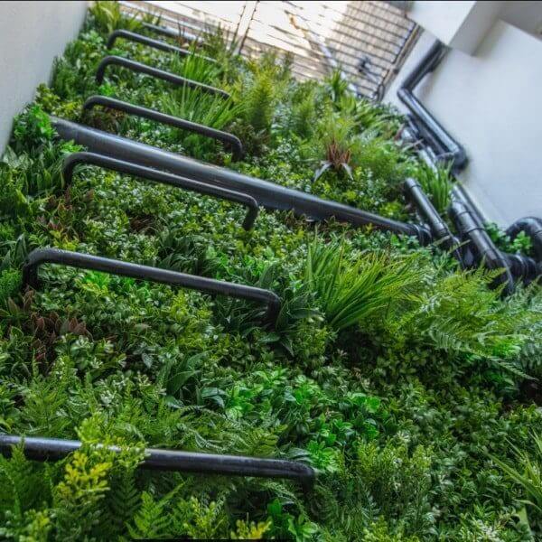 A vertical garden with lush green foliage covers a wall, framed by metal railings like a living privacy screen. Varieties of ferns and plants create a dense, vibrant carpet. Pipes run alongside, adding an industrial touch to the natural display, akin to a green wall ladder.