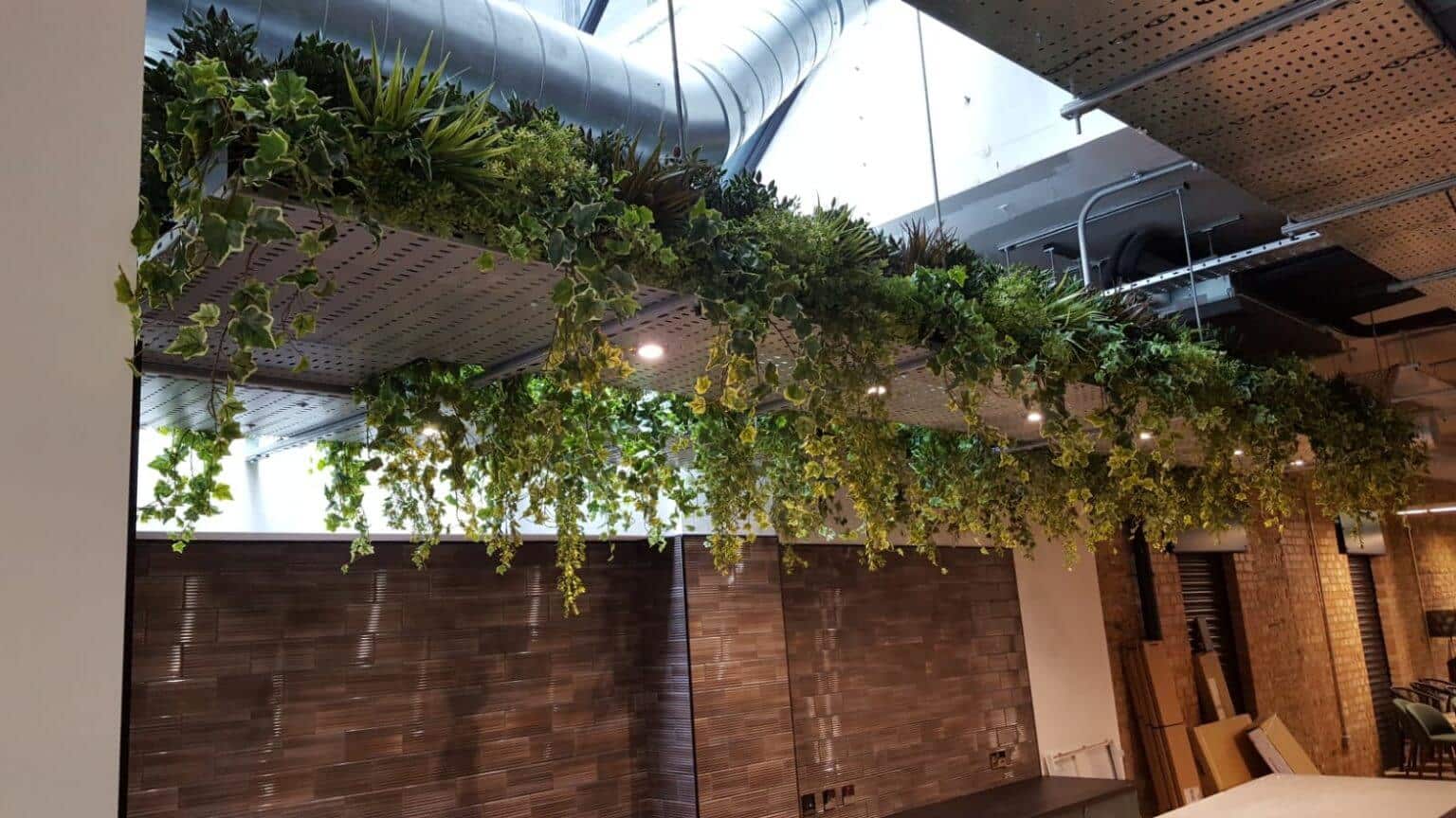 A modern ceiling installation featuring lush artificial ivy drapes amidst exposed industrial ductwork and lighting. Below, a dark wood-paneled wall and sleek countertops create a blend of natural and industrial styles—the perfect compliment to any chic space.