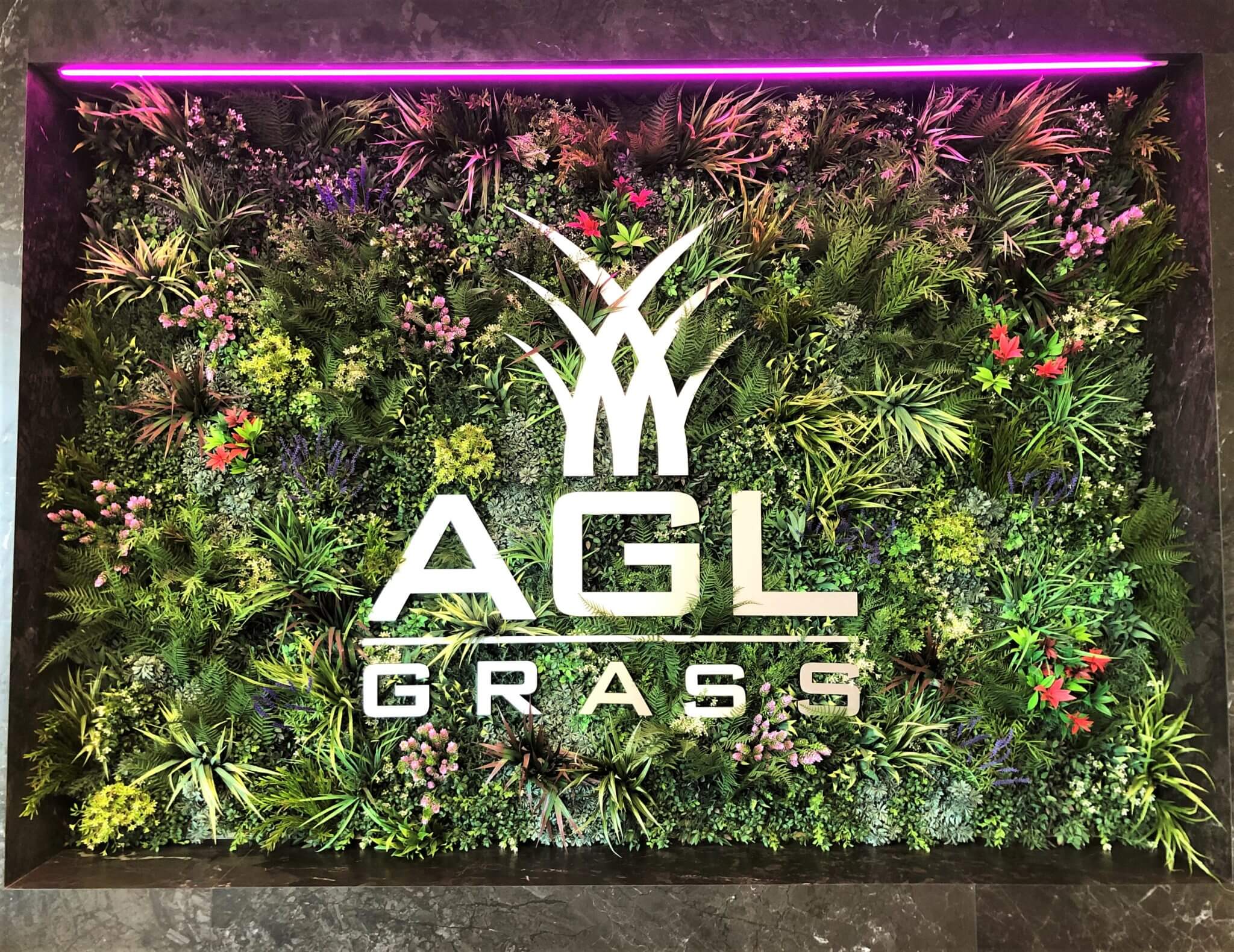 A wall with the AGL Grass logo stands in a vibrant showroom in Toronto, Canada, surrounded by a lush vertical garden filled with diverse green plants and small red flowers. A purple neon light elegantly borders the top of this stunning green wall display.