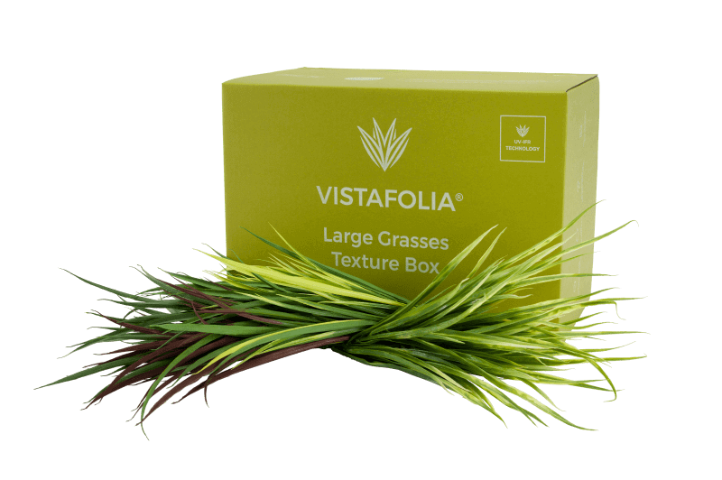 Large Grasses Texture Box Product Image