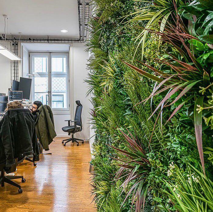 A modern office with wooden floors and a large vertical plant wall on the right. Two chairs and desks with computer monitors are visible on the left. A window lets in natural light.