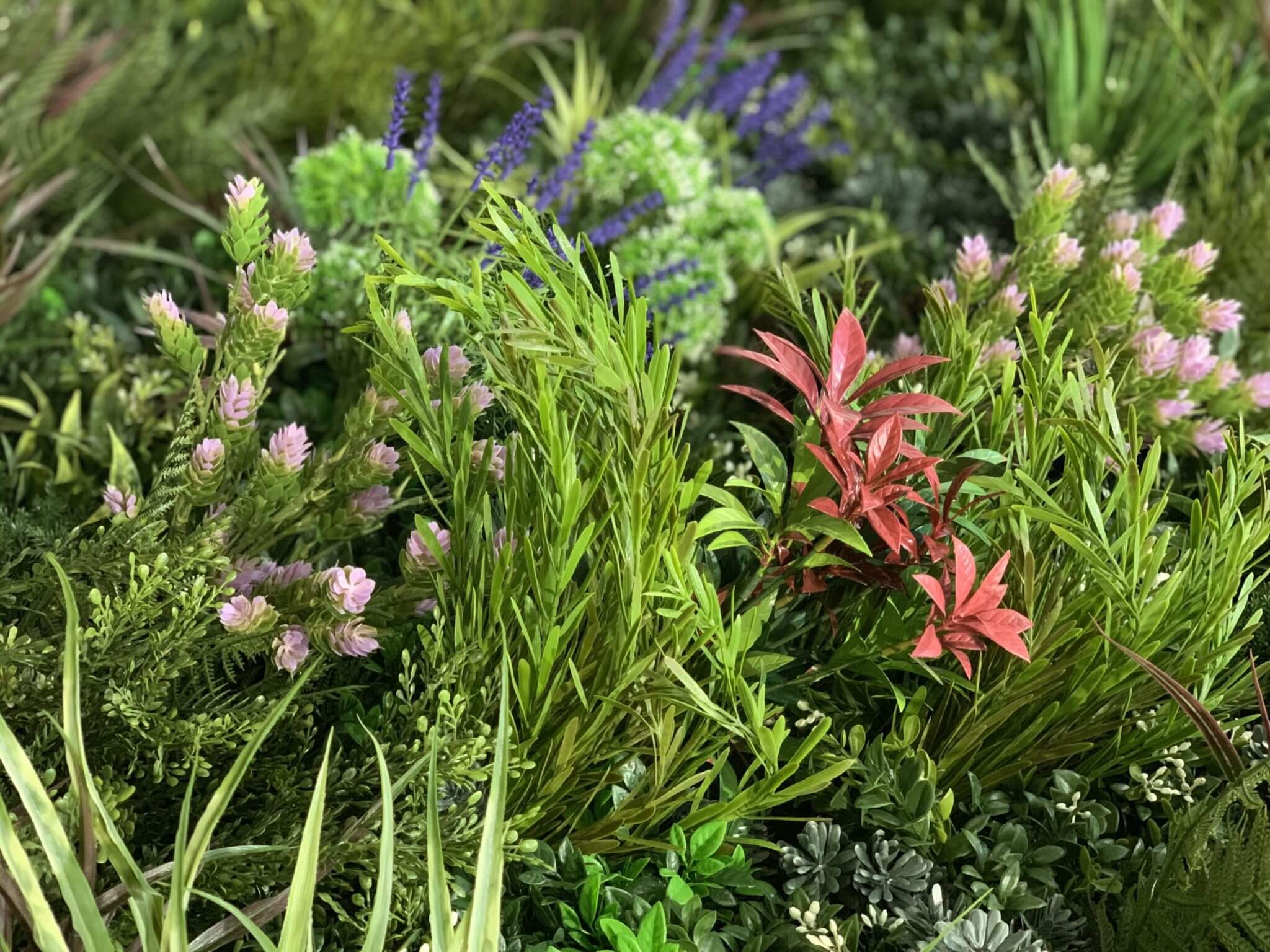 A lush garden at the Marriott Hotel in Virginia Beach showcases a variety of green foliage, with small pink flowers, red leaves, and purple blossoms set against leafy greenery, creating a vibrant natural scene.