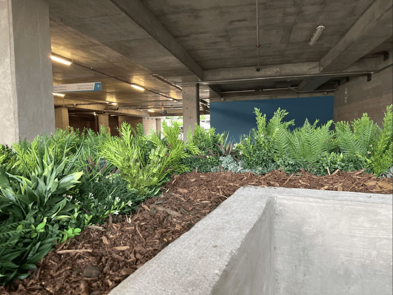 An indoor parking area with a concrete structure and artificial lighting in Nashville features at the forefront an artificial planter filled with green ferns and leafy plants, adding a touch of nature to the industrial setting. A blue partition is visible in the background.