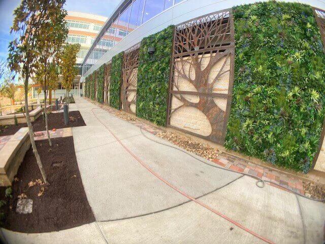 A modern building in Virginia Beach features a hospital green wall with tree designs made of leafy plants. The sidewalk curves alongside the structure, where young trees are planted in neat rows. Above, the sky is clear and blue.