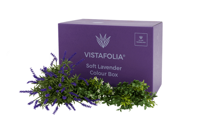 Soft Lavender Colour Box Product Image