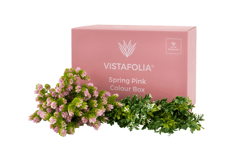 Spring Pink Colour Box Product Image