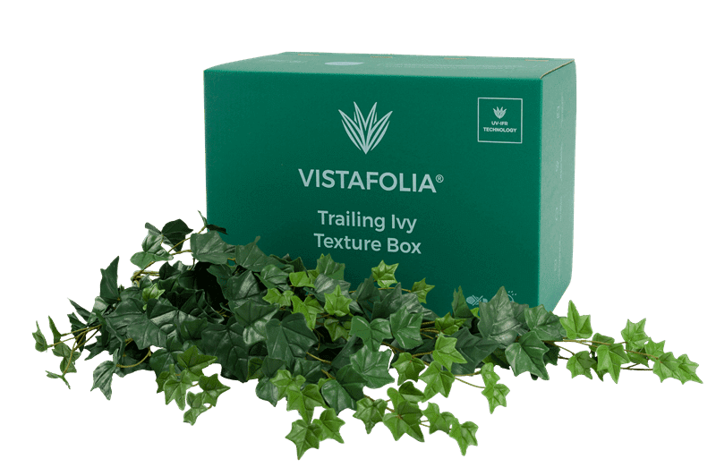 Trailing Ivy Texture Box Product Image