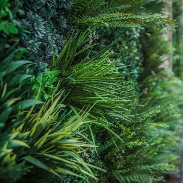 A lush vertical garden filled with a variety of green plants and ferns, creating a textured and vibrant natural wall. The mix of leaves and textures adds depth and a fresh ambiance to the scene.