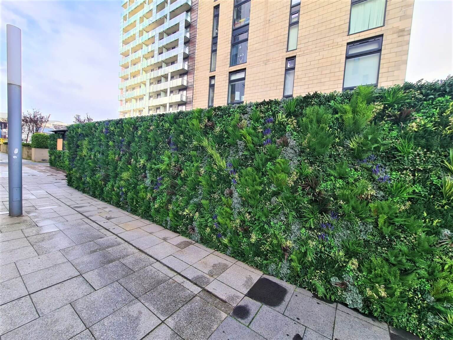 A tall green hedge with various shrubs and plants lines a walkway beside the modern multi-story structure of PROJECT SPOTLIGHT: Glasgow Apartment Block. The ground is paved with stone tiles, a column stands on the left, and the sky is clear with some clouds.